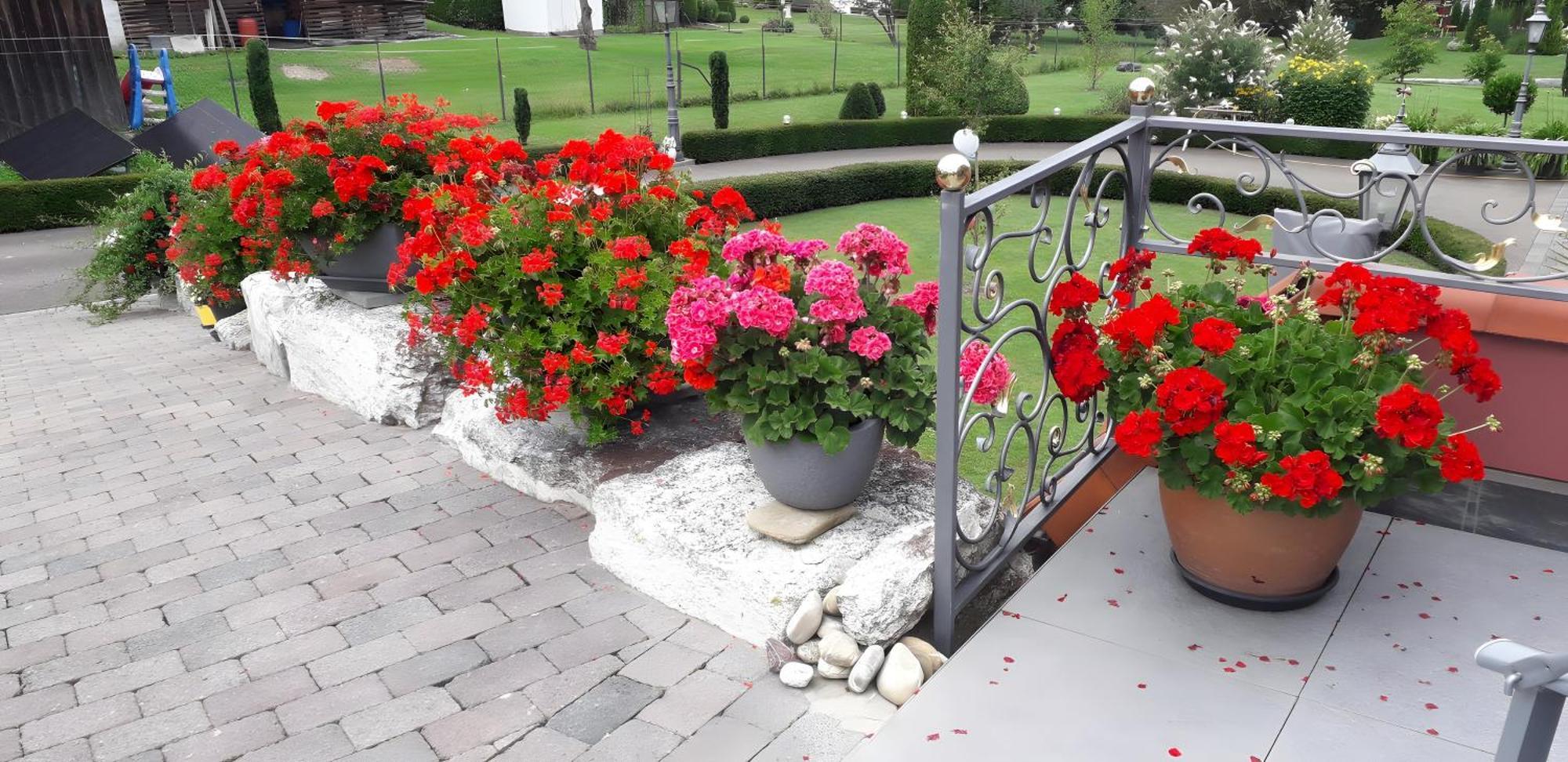 Feriendomizil Berta Benzingen Apartment Winterlingen Екстериор снимка