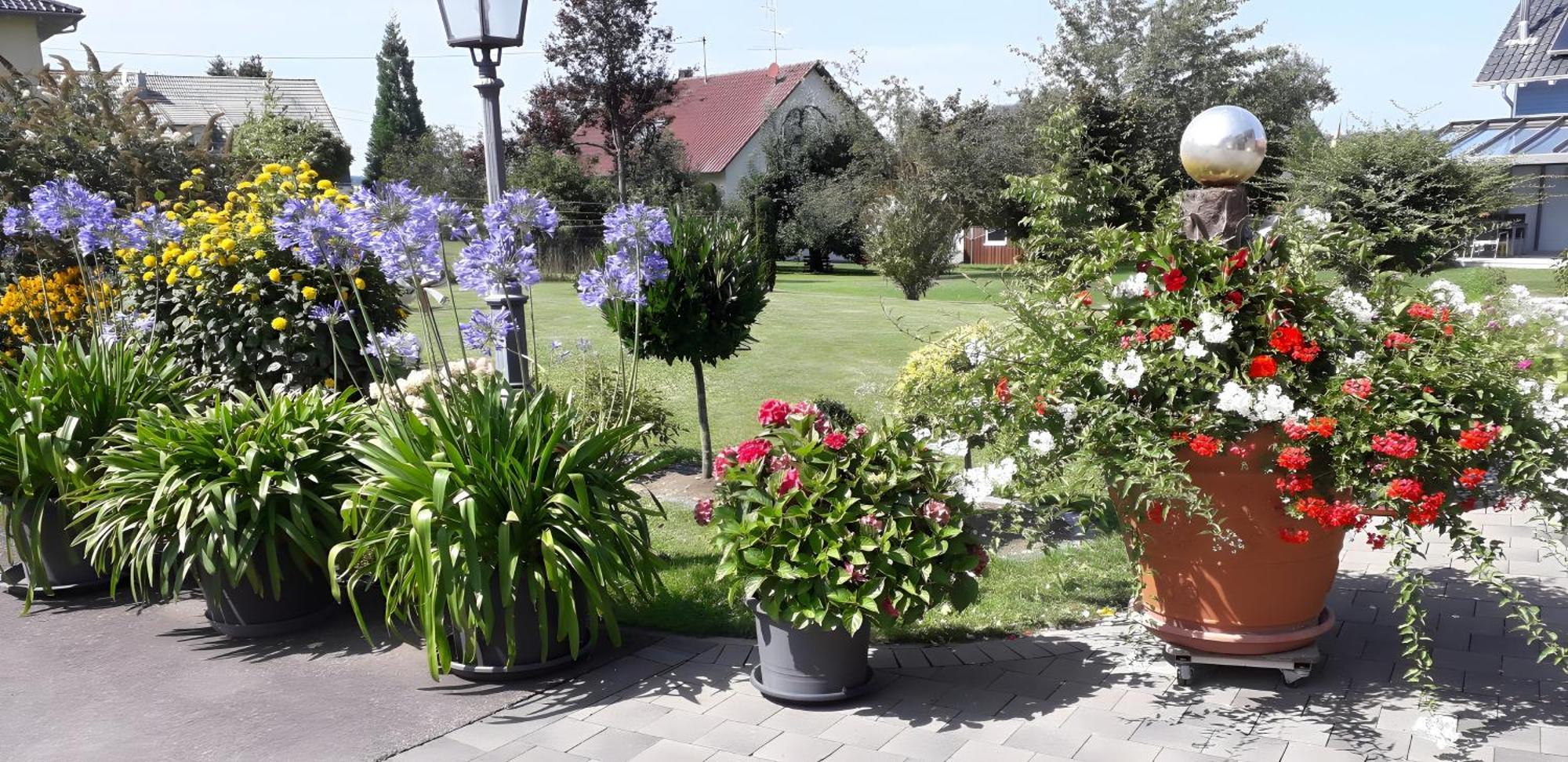 Feriendomizil Berta Benzingen Apartment Winterlingen Екстериор снимка